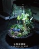 生態瓶課程-落地植生款設計 生態瓶課程-落地植生款設計
